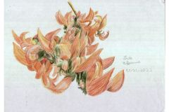 1809