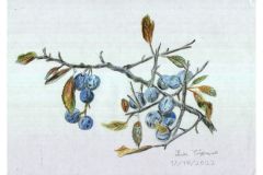 1810