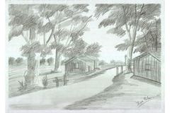 1817