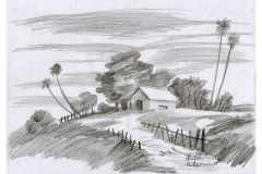 1919