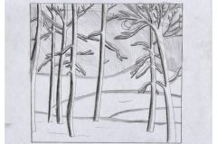 56