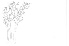a051